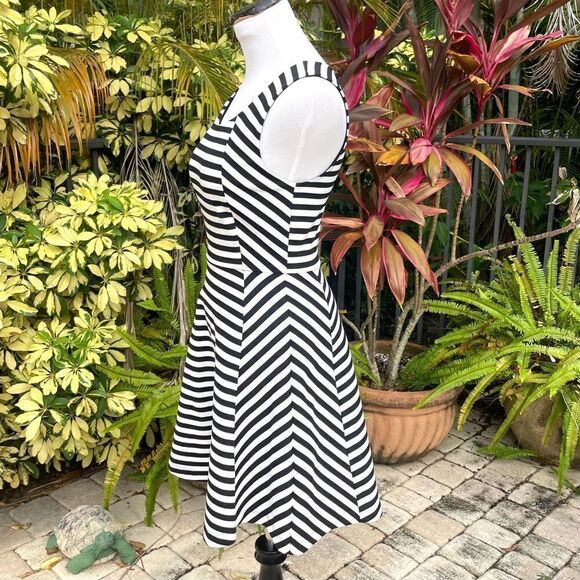 Express Striped Fit & Flare Dress - Picture 4 of 8